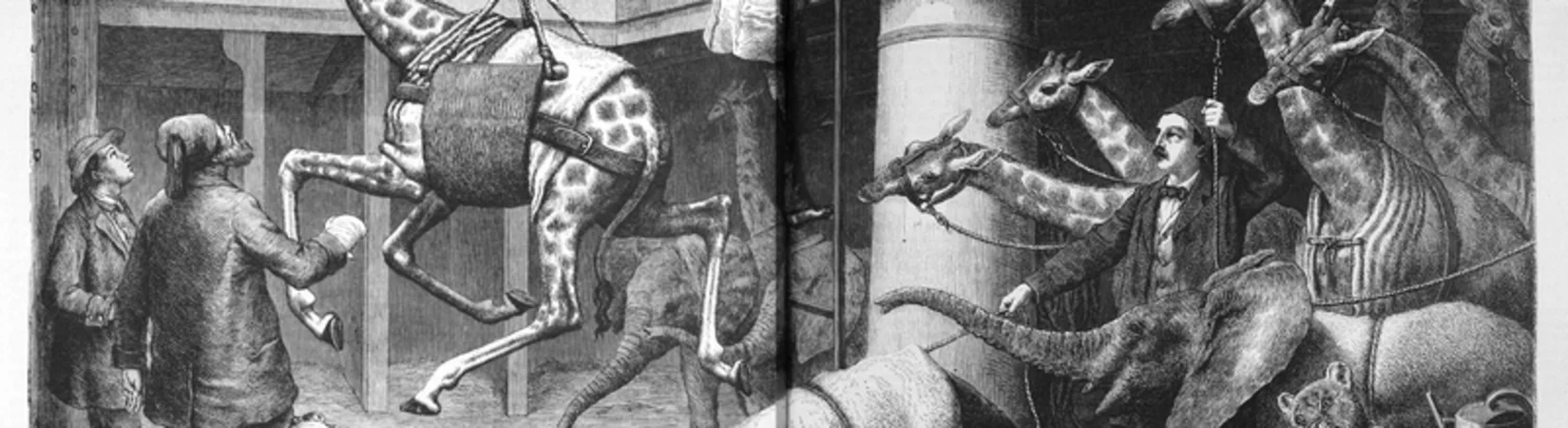 Tiere handeln