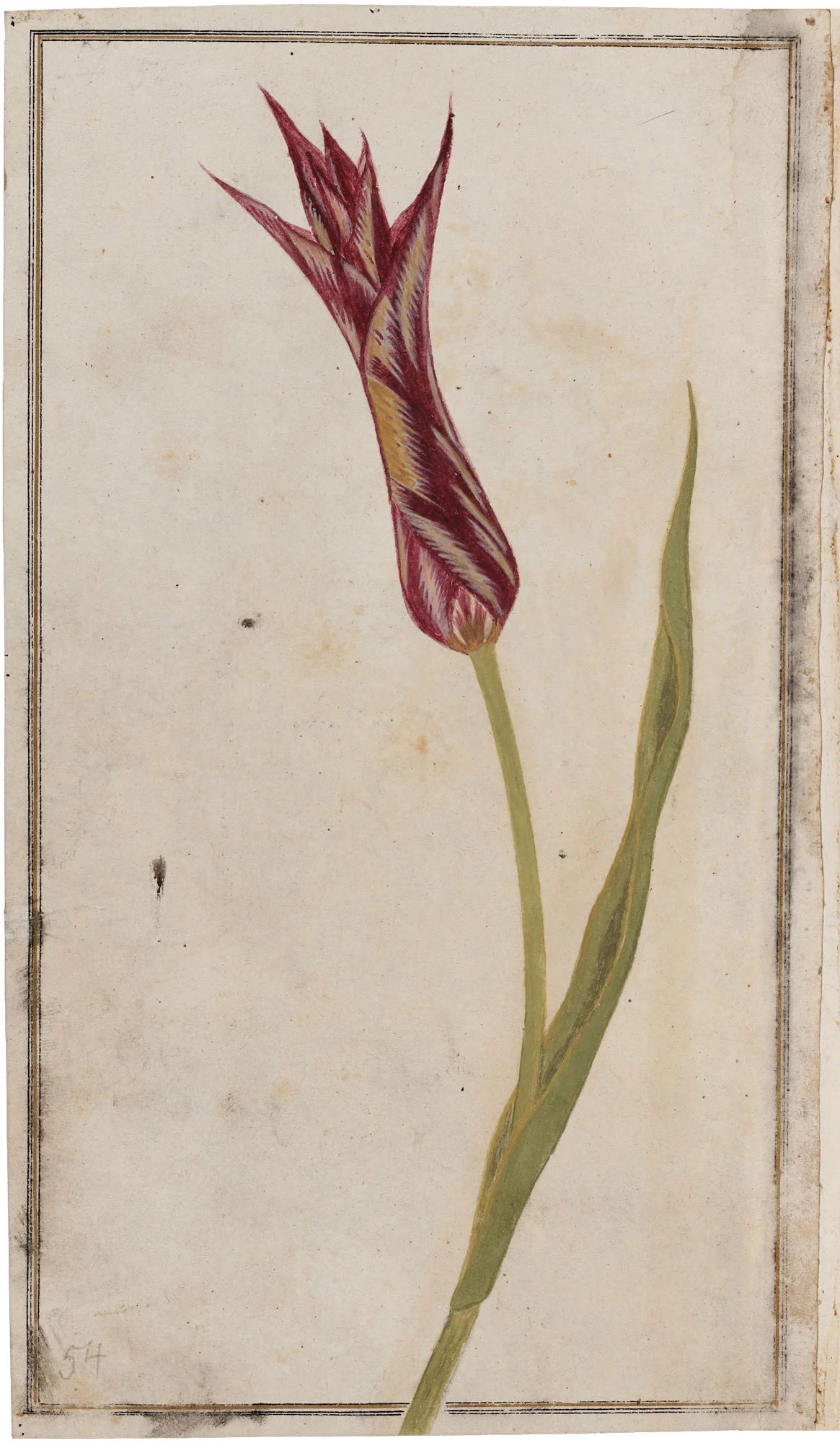 Court culture and flower cultivation